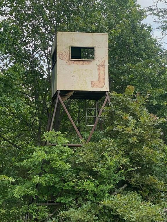 hunting blind