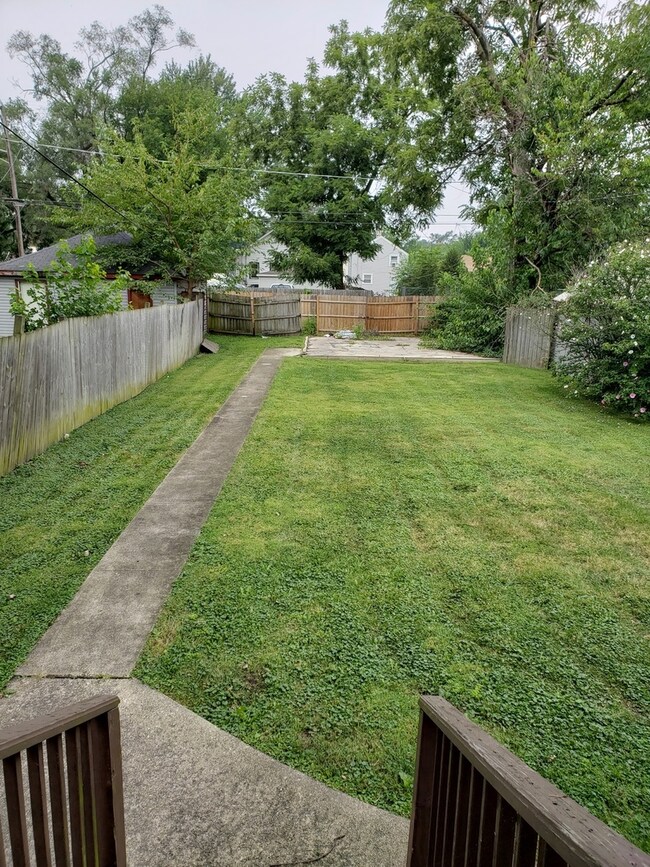 Backyard