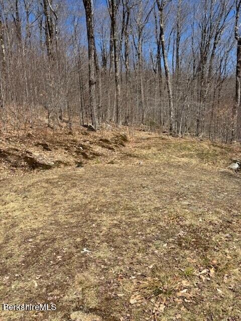 879 Bergrucken Lane 3