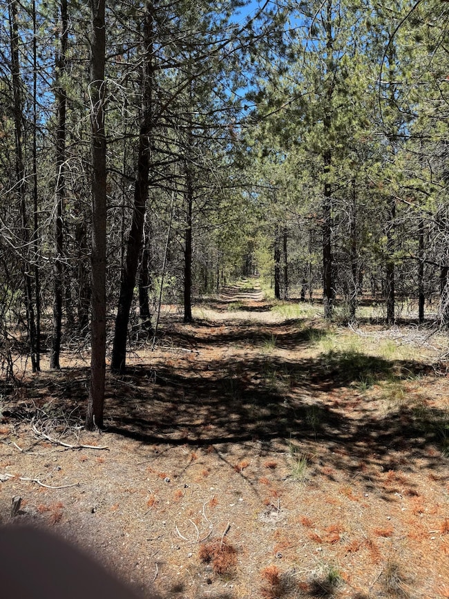 0 Nfd 440 Rd unit 220184517, Chiloquin, OR 97624 - photo 2