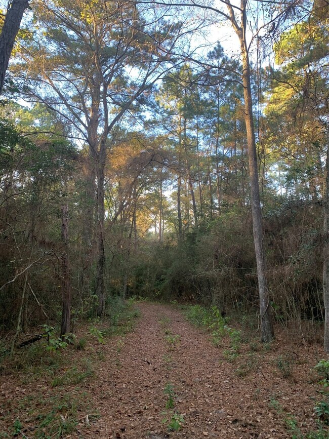 24424 Nichols Sawmill Rd, Magnolia, TX 77355 - photo 4