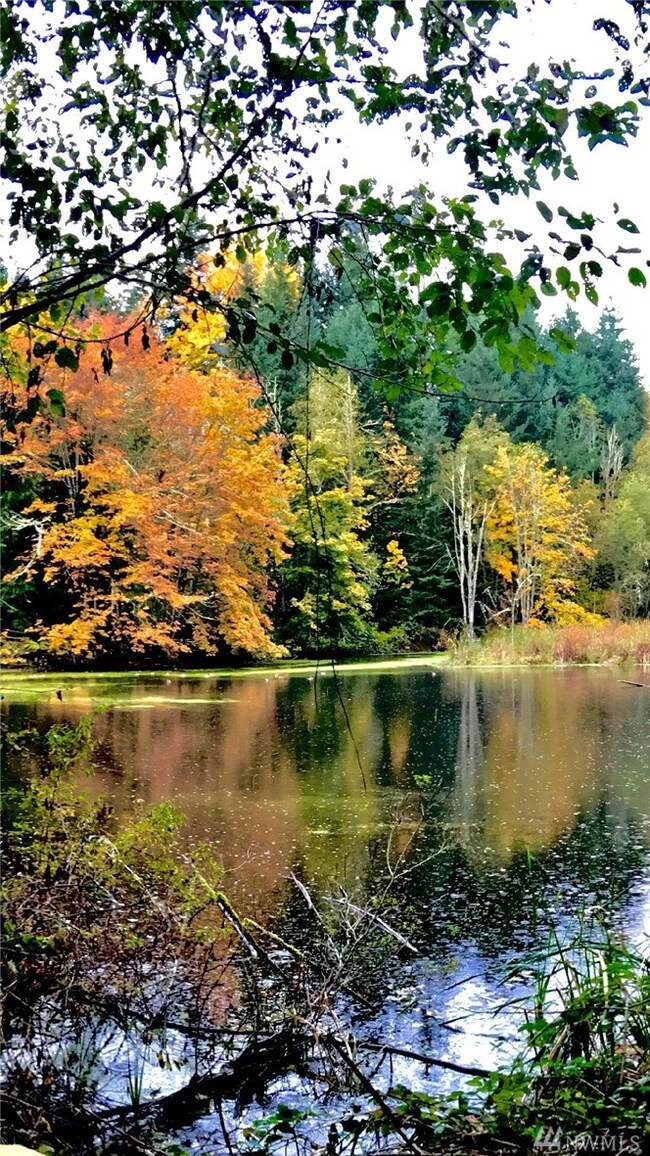 23310 148th Avenue Ct E, Orting, WA 98360 - photo 4