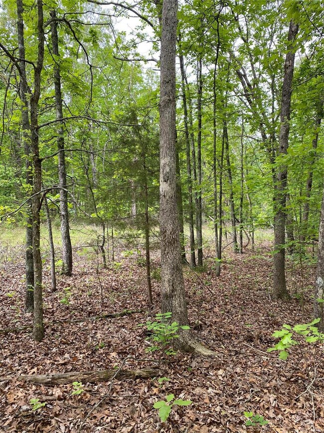 0 Hawksbill Dr, Cullen Township, MO 65459 - photo 7