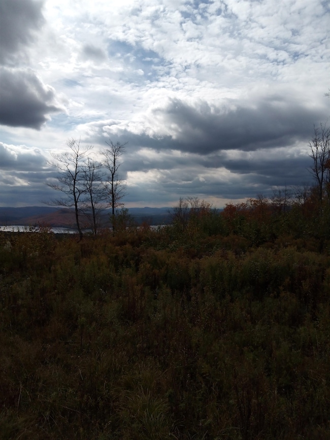 O Toad Pond Rd, Morgan, VT 05853 - photo 6