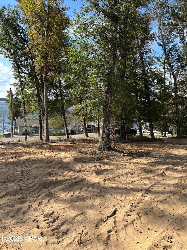 Lot 1 & 2 Lakeshore Dr, Alford, FL 32420 - photo 5