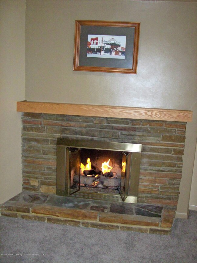 1113 Old Hickory 1st Floor Fireplace