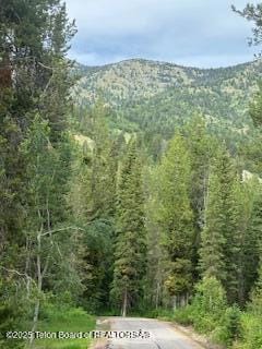 11 & 12 Windsong, Alpine, WY 83128 - photo 2