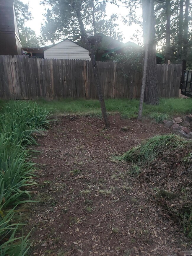 Yard area