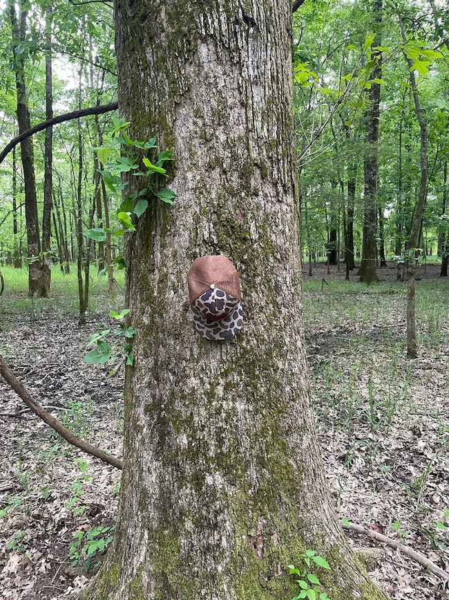 Highway 6, Marks, MS 38646 - photo 3