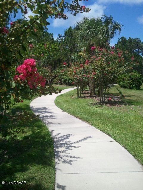 Walking path to school.JPG