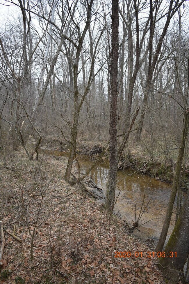 Bryant Creek - nearly 600' frontage