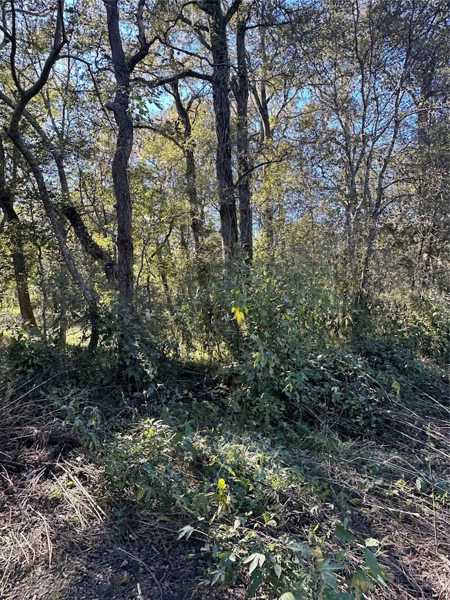 00 Oak Forest Dr, Guy, TX 77444 - photo 2