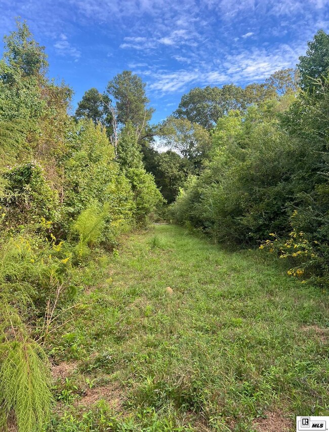 0 Old Snipe Rd, Ruston, LA 71270 - photo 7
