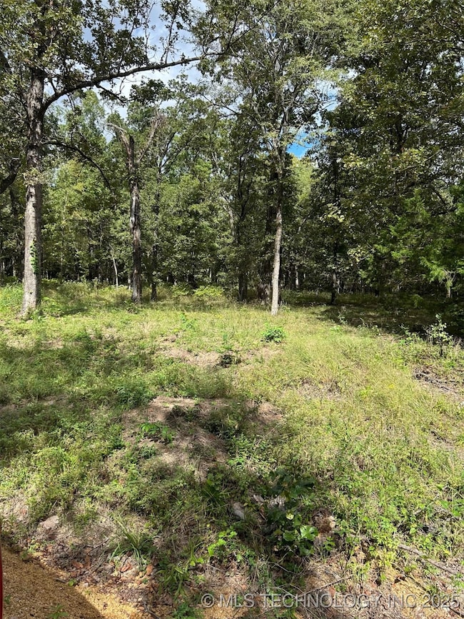 1431 Easy St, Tishomingo, OK 73460 - photo 3