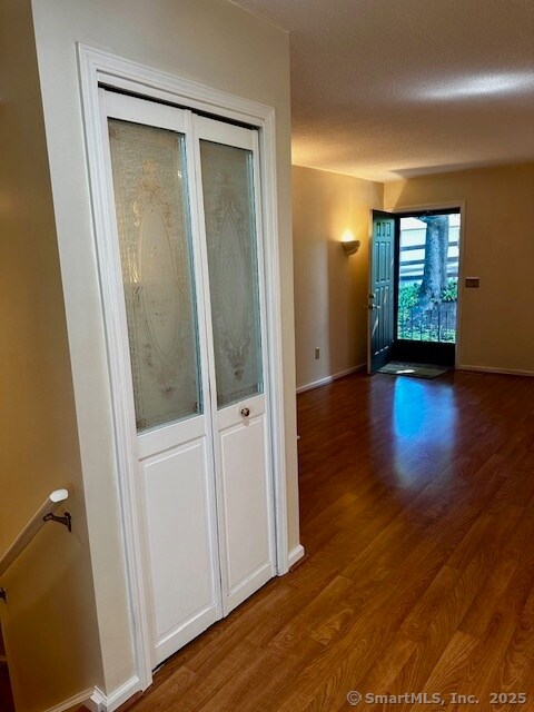 Living Room Closet