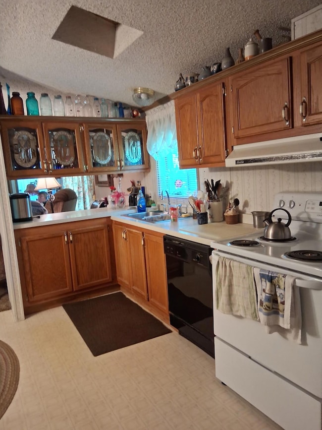 675 N Dade 181, Greenfield, MO 65661 - photo 4