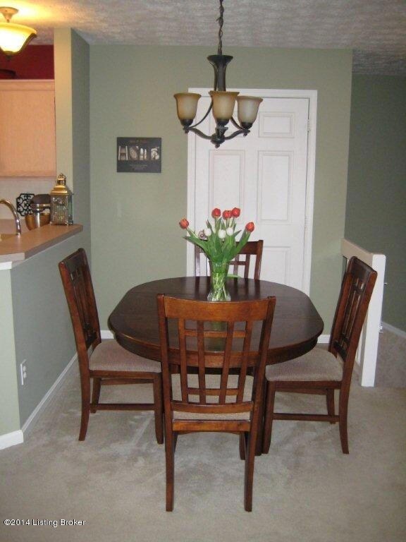 8327 Grand Trevi Dr unit 5801, Louisville, KY 40228 - photo 7