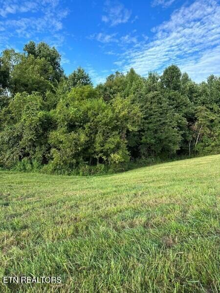 0 Knob Creek Rd unit 1309118, Wartrace, TN 37183 - photo 6