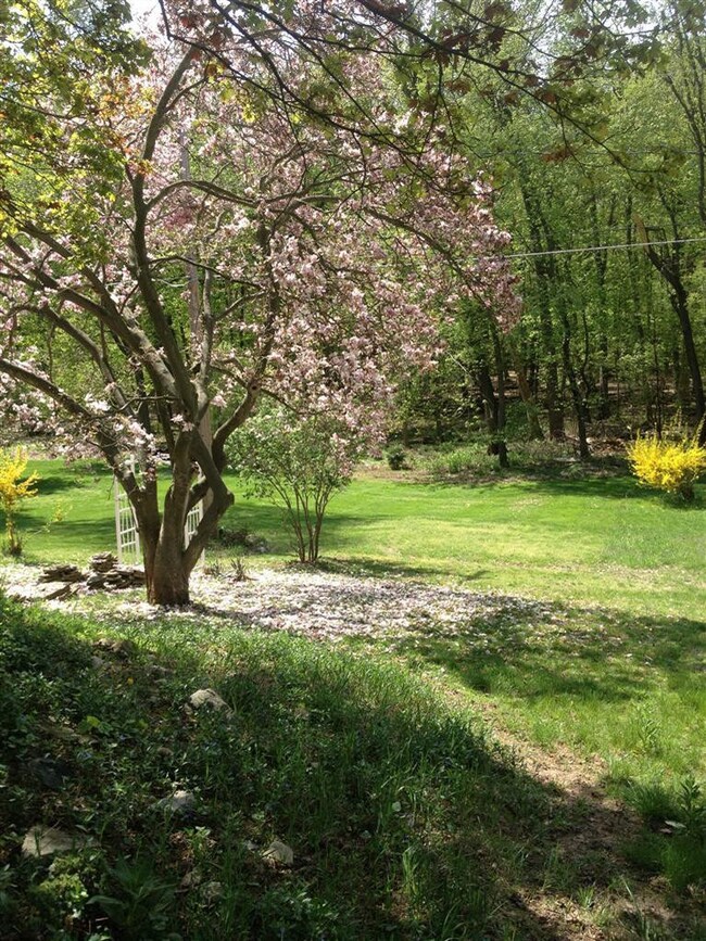 304 Washington St, Chelsea, MI 48118 - photo 7