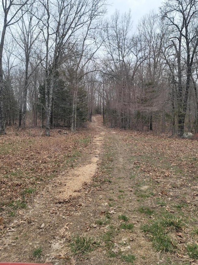 000 Ledgewood Rd, Cabool, MO 65689 - photo 2