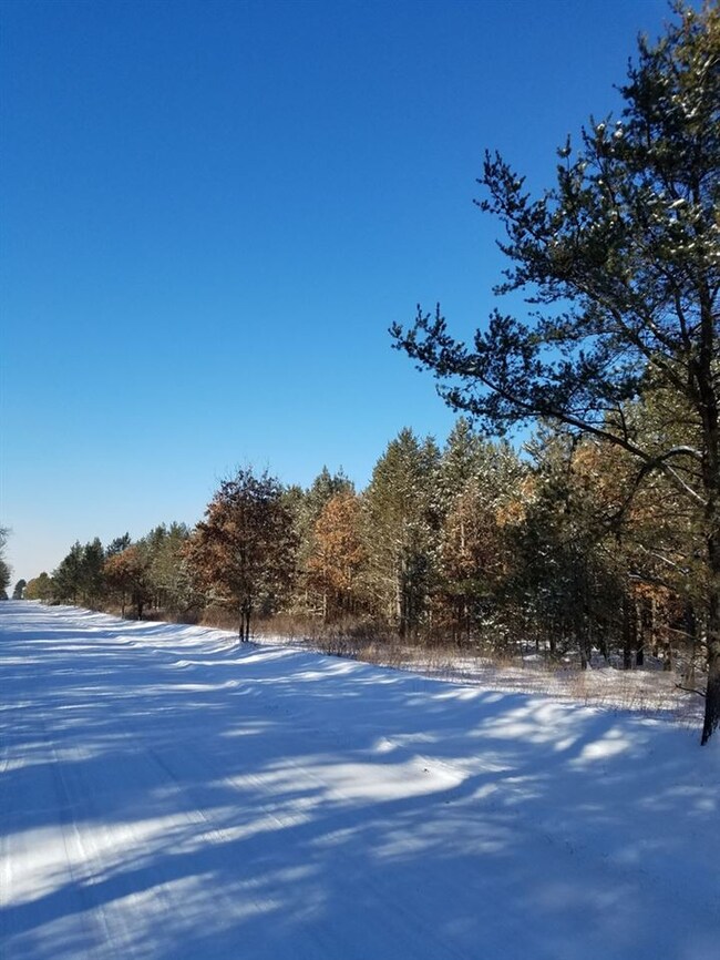 ON Cypress Ave unit Meteor 8313-1, Friendship, WI 53934 - photo 2
