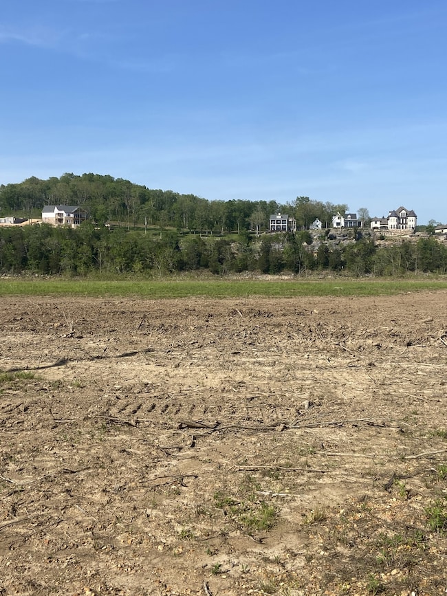 0 Dancing Eagle Ln unit RTC3047504, Clifton, TN 38425 - photo 2