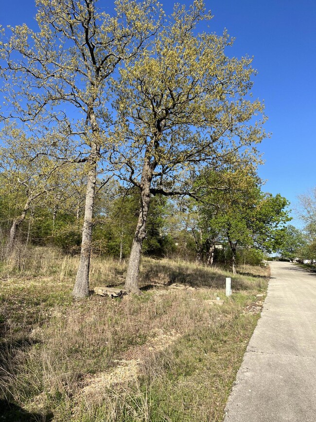 131 Oregon Ln, Ruth B Rural Township, MO 65686 - photo 4