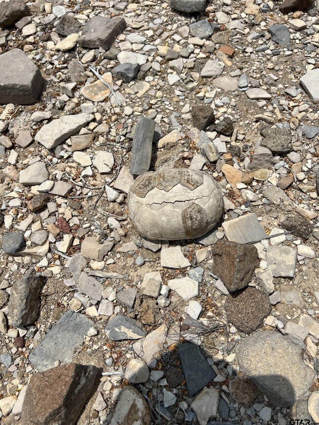 20865 & 66 Ivy Pid 20865 & 66, Terlingua, TX 79852 - photo 7