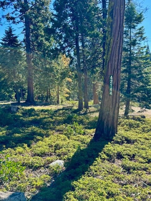 42144 Tourmaline Ln, Shaver Lake, CA 93664 - photo 3
