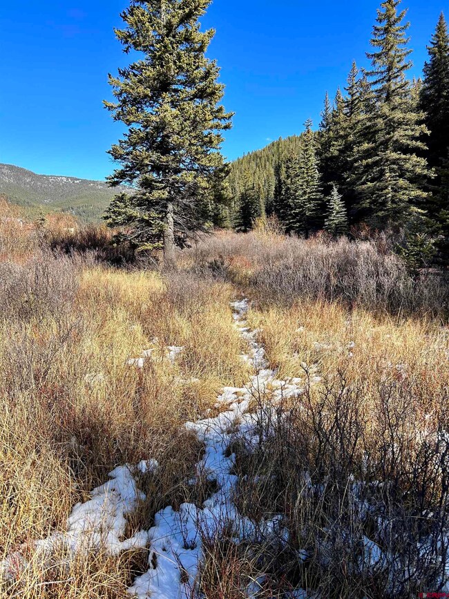 TBD River St, Pitkin, CO 81241 - photo 5
