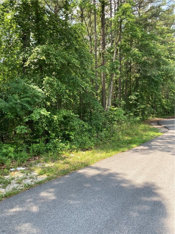 0 Woodbridge Dr, Bella Vista, AR 72714 - photo 4