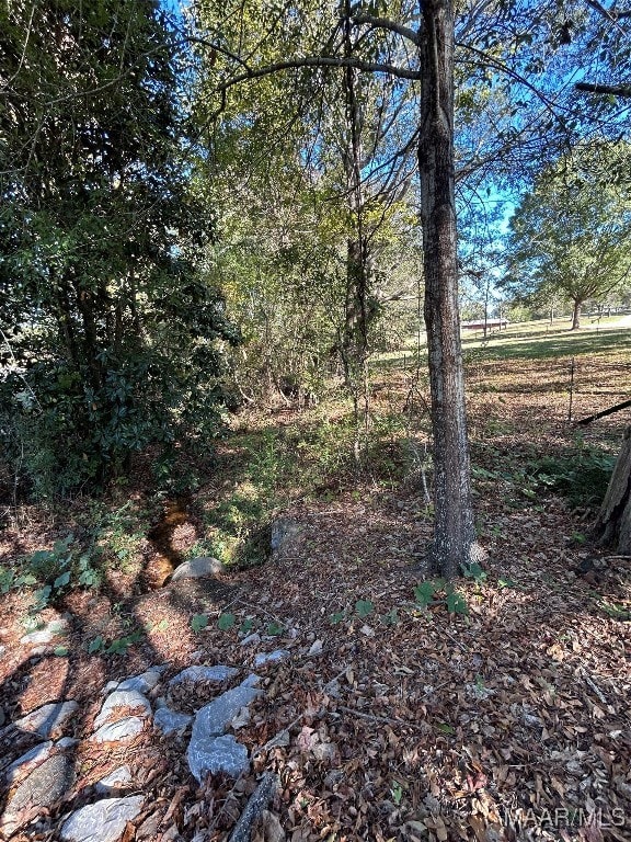982 Highway 28 E, Camden, AL 36726 - photo 6