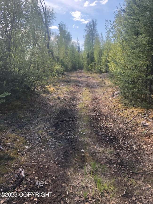 Trail
