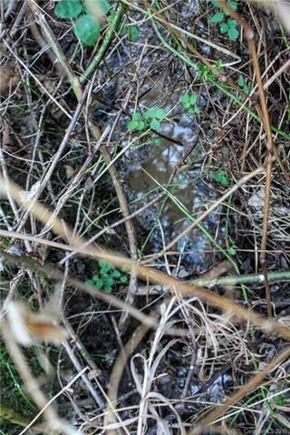 Spring is still running despite extreme drought co