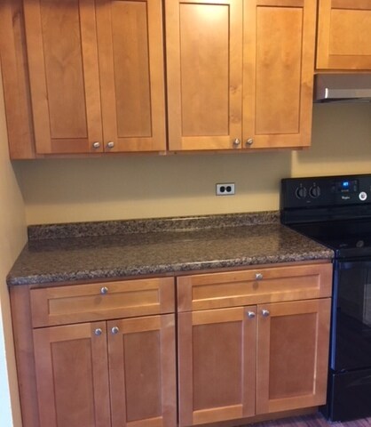 1754 E Oakton St unit 206, Des Plaines, IL 60018 - photo 6