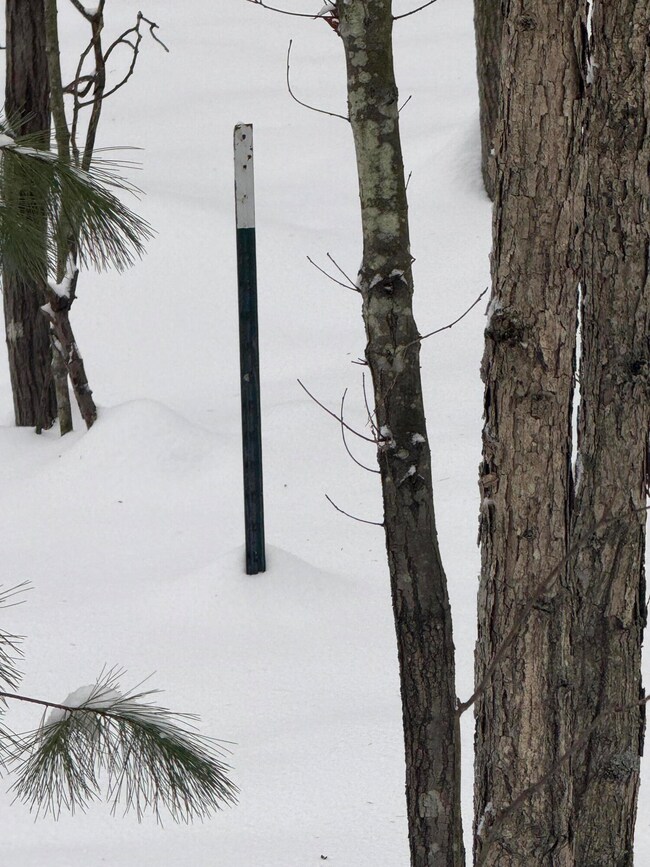 3.75 Acres Wayne Rd, Pentwater, MI 49449 - photo 7