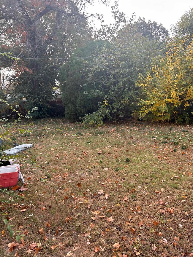Yard