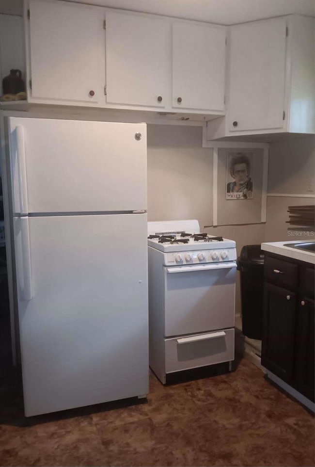 2693 Cr 426f, Lake Panasoffkee, FL 33538 - photo 3