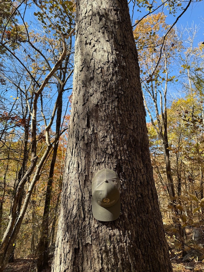 00 Sharps Cove Rd, New Market, AL 35761 - photo 4