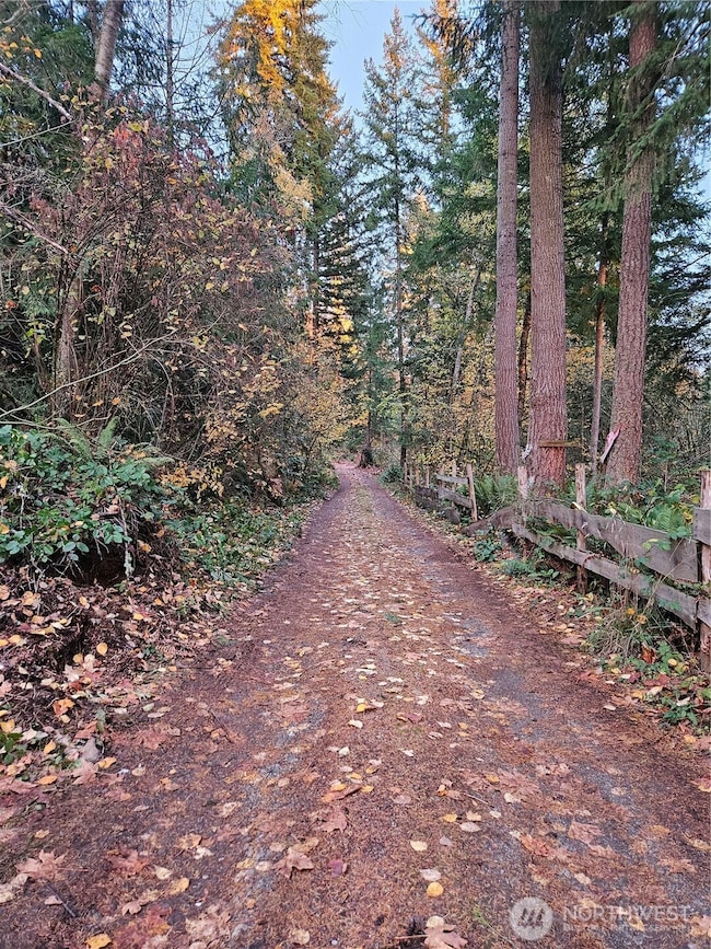 7308 Valley View Rd, Sedro Woolley, WA 98284 - photo 4