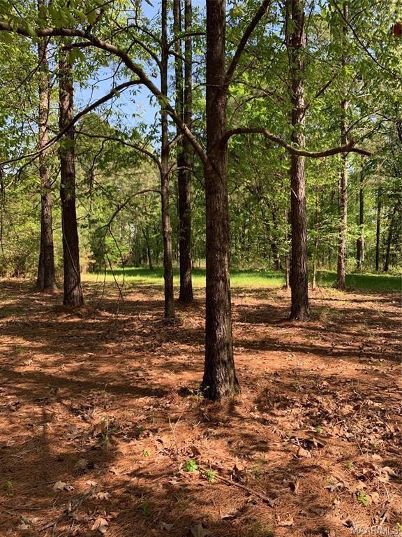 34/34A Riverview Landing Dr, Camden, AL 36726 - photo 5