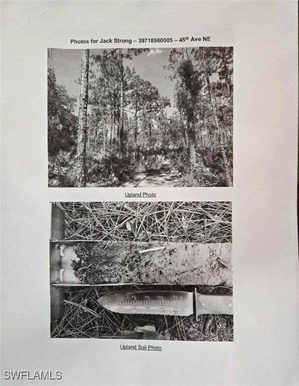 0 45th Ave NE unit 225023473, Naples, FL 34120 - photo 4