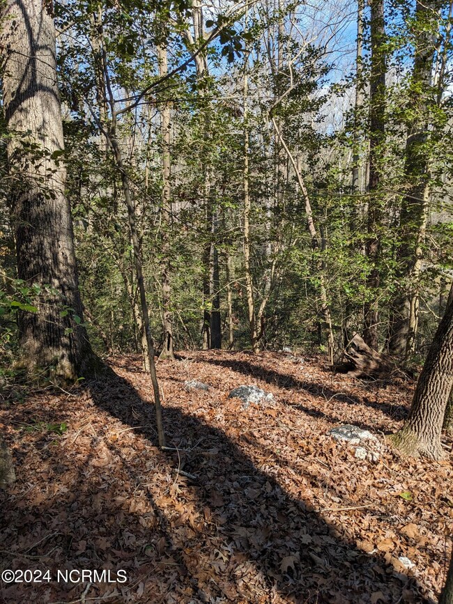 PXL_20240215_173719790