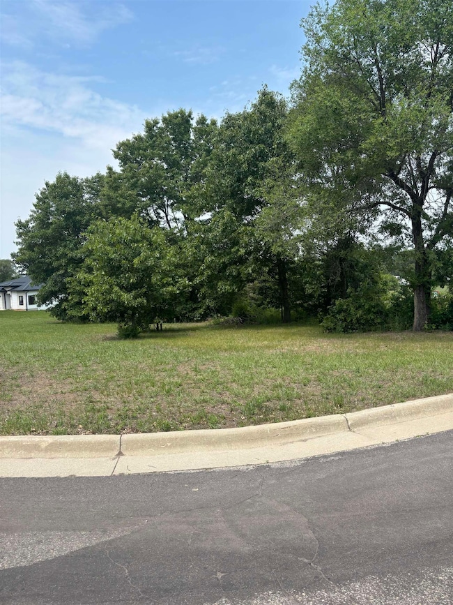 113 Windsong Ct, Boscobel, WI 53805 - photo 4