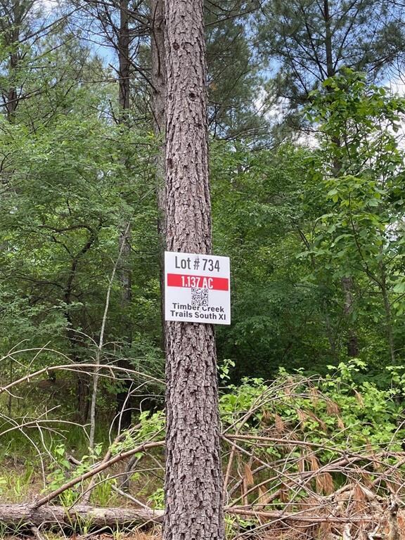 734 Timber Creek Trails South XI, Broken Bow, OK 74728 - photo 5