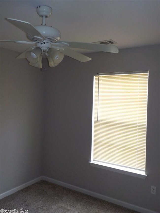 13798 Cedar Glen Cove, Alexander, AR 72002 - photo 5