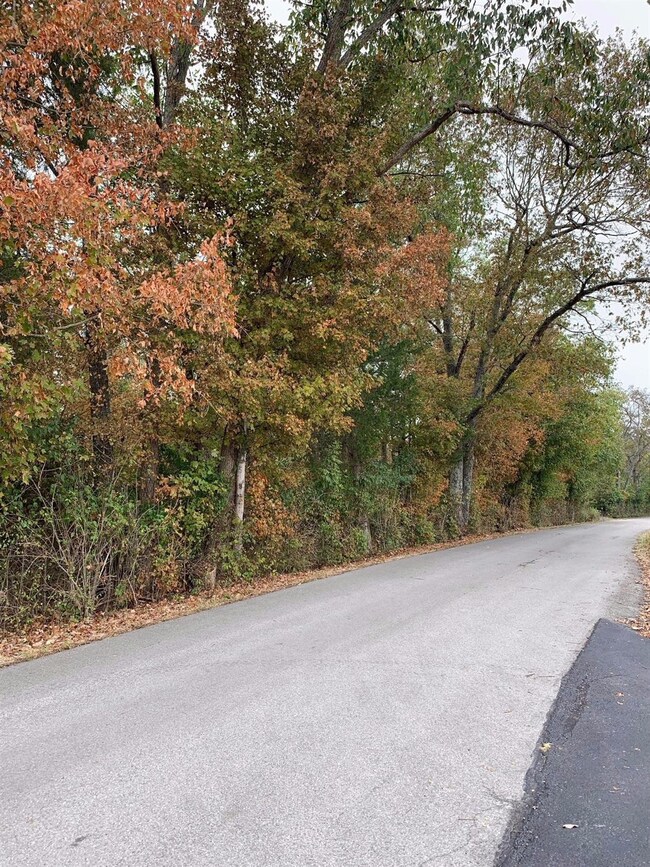 1499 Hifner Rd, Versailles, KY 40383 - photo 2