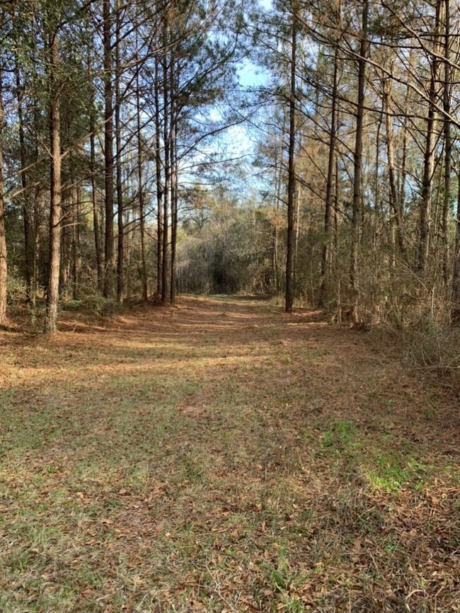 00 Sablefish Ln, Red Level, AL 36474 - photo 7