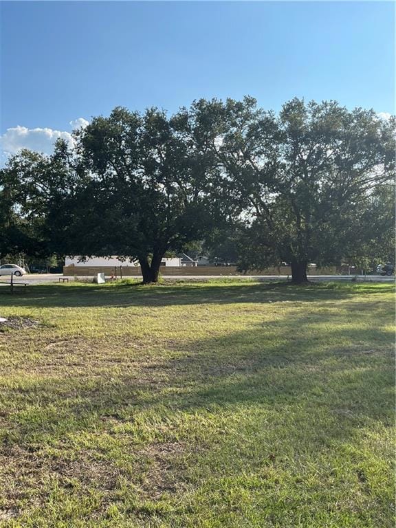 (2) Beautiful 100+ Oak Trees Front this Property