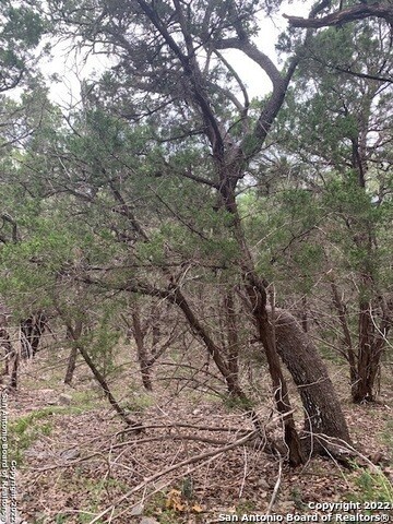 8627 San Fidel Way, San Antonio, TX 78255 - photo 4